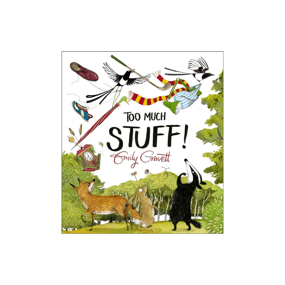 Pan Macmillan Too Much Stuff (häftad, eng)