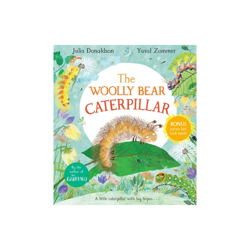 Pan Macmillan The Woolly Bear Caterpillar (häftad, eng)