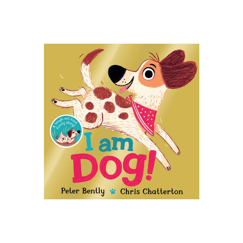 Pan Macmillan I am Dog (häftad, eng)