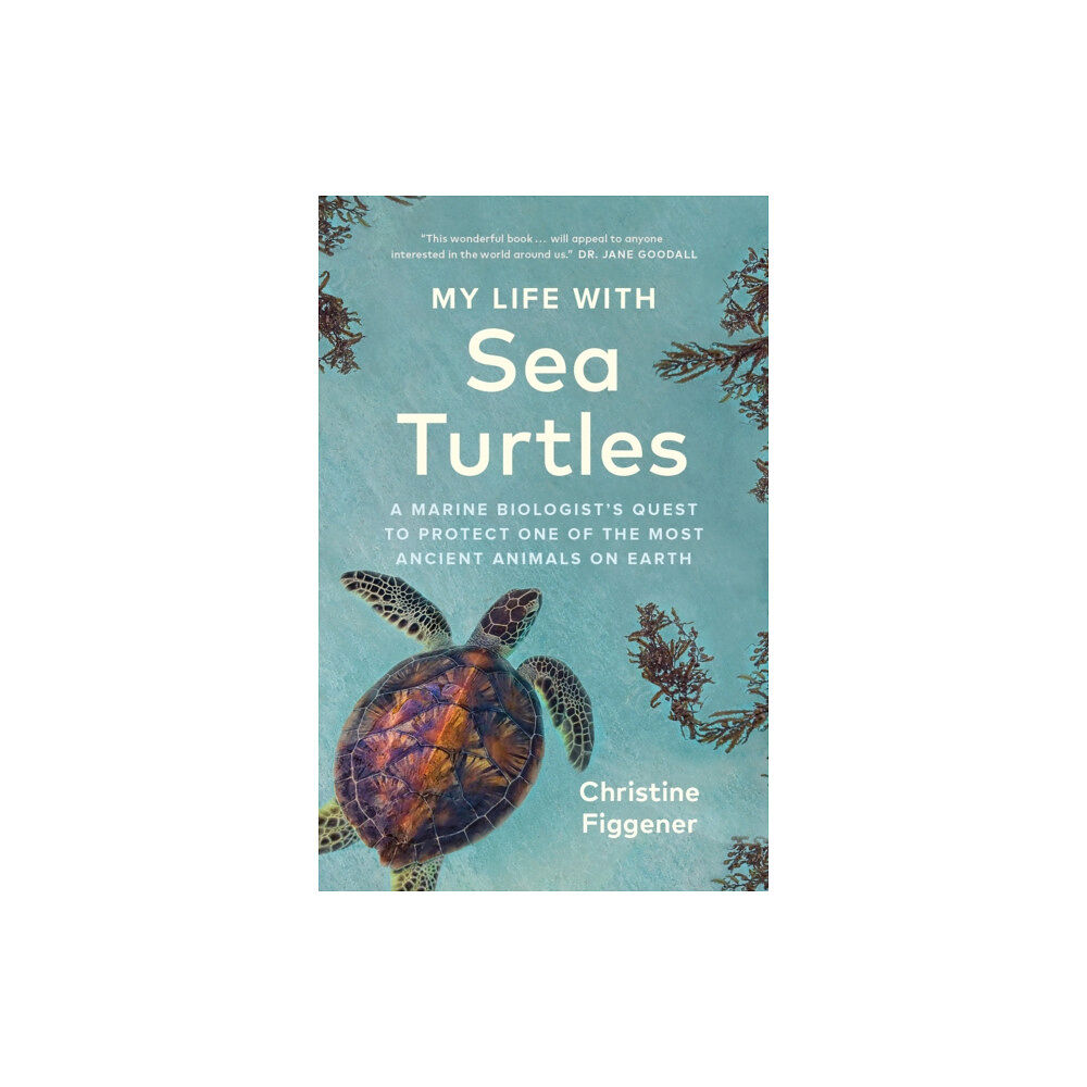 Greystone Books,Canada My Life with Sea Turtles (inbunden, eng)