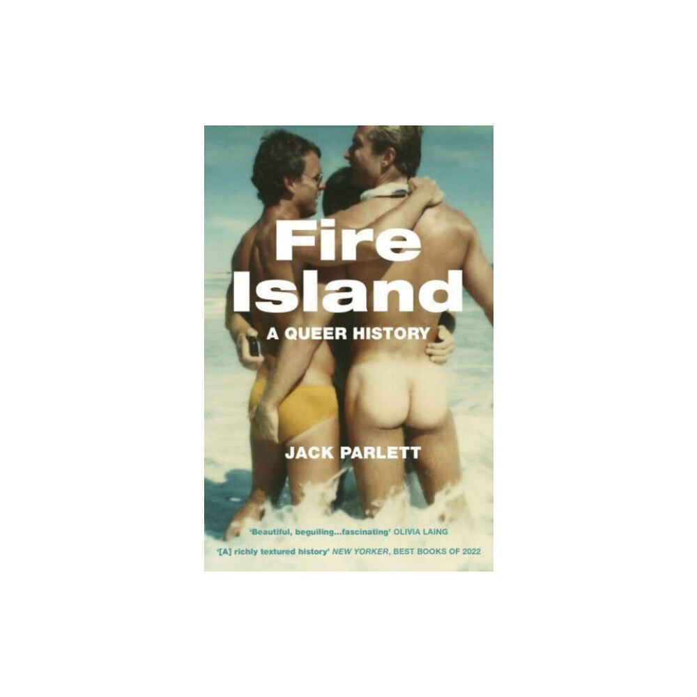 Granta Books Fire Island (häftad, eng)