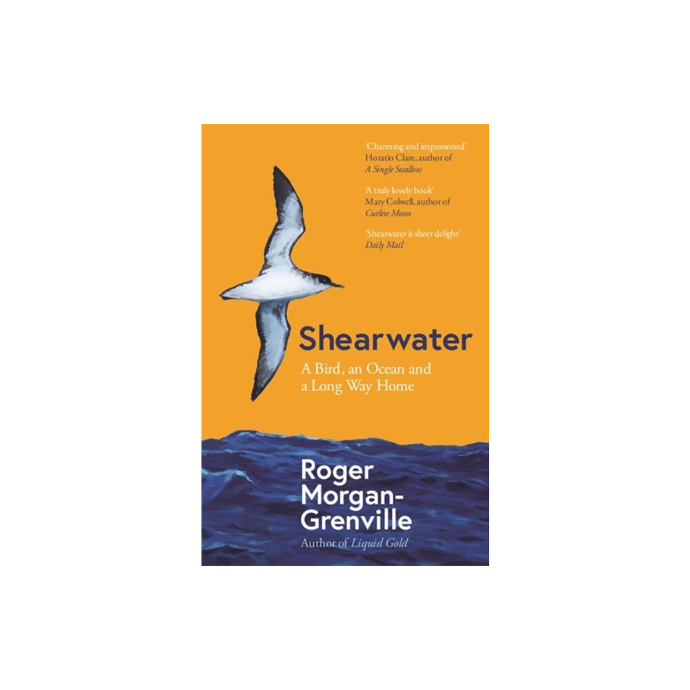 Icon Books Shearwater (häftad, eng)