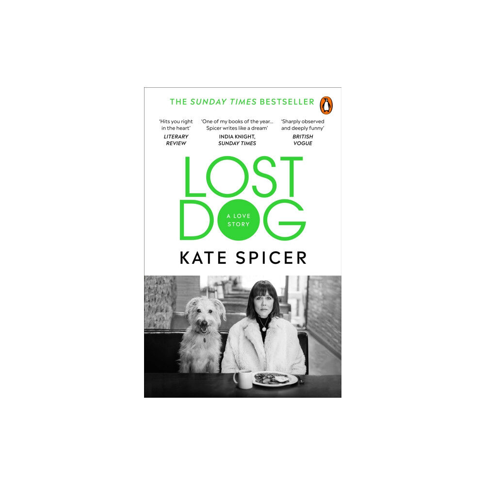 Ebury Publishing Lost Dog (häftad, eng)