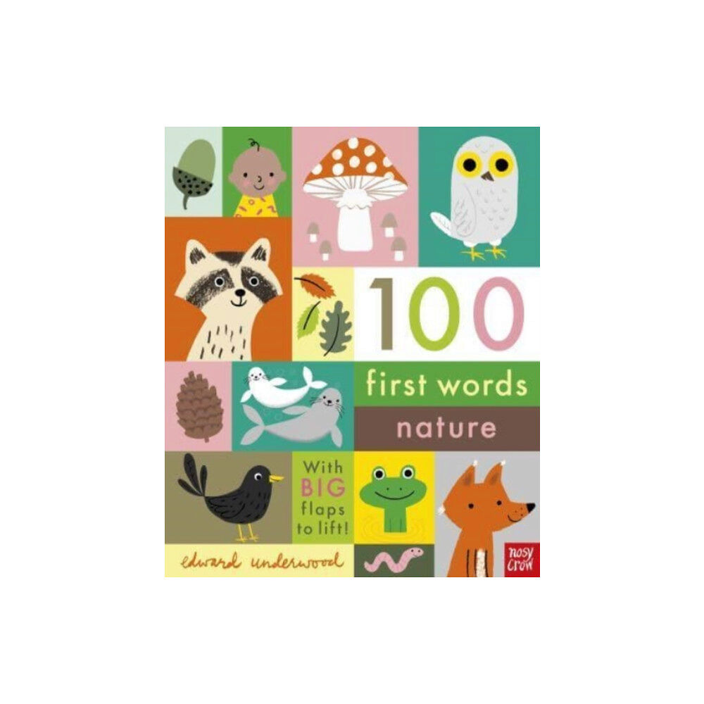 Nosy Crow Ltd 100 First Words: Nature (bok, board book, eng)