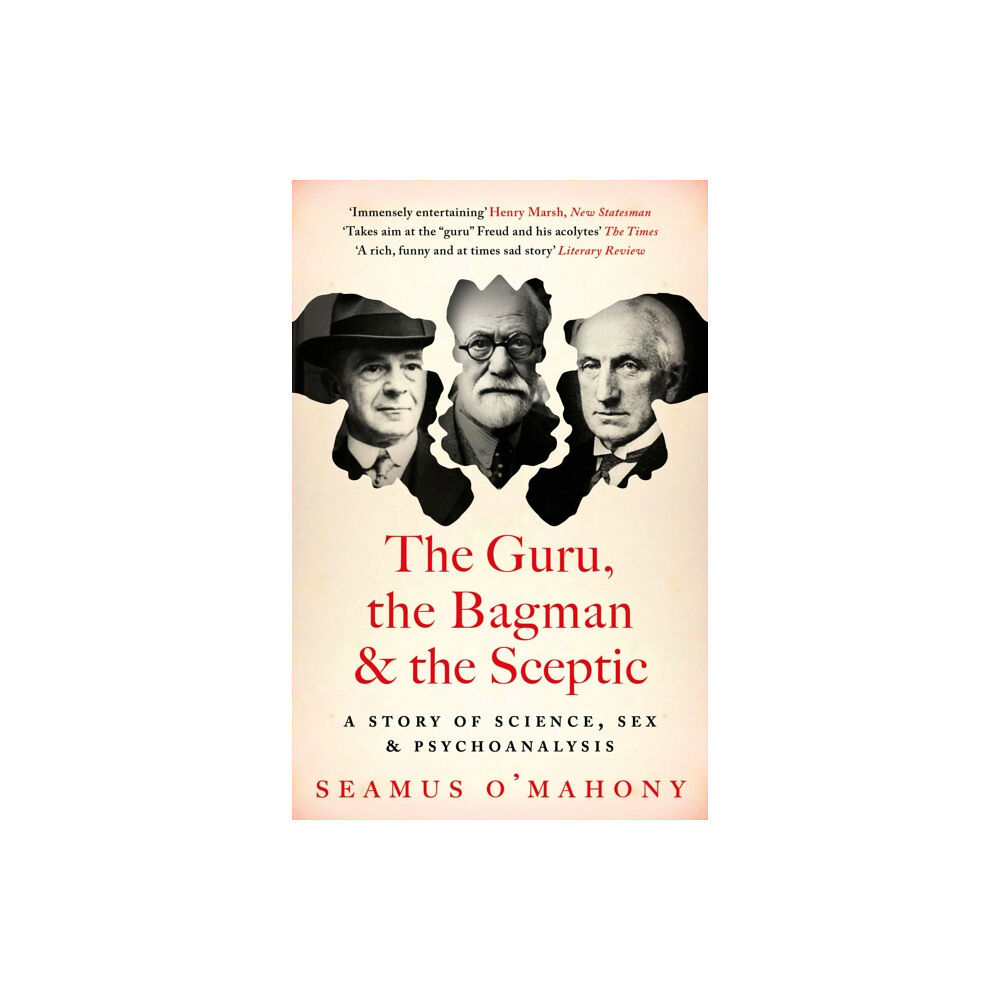 Bloomsbury Publishing PLC The Guru, the Bagman and the Sceptic (häftad, eng)