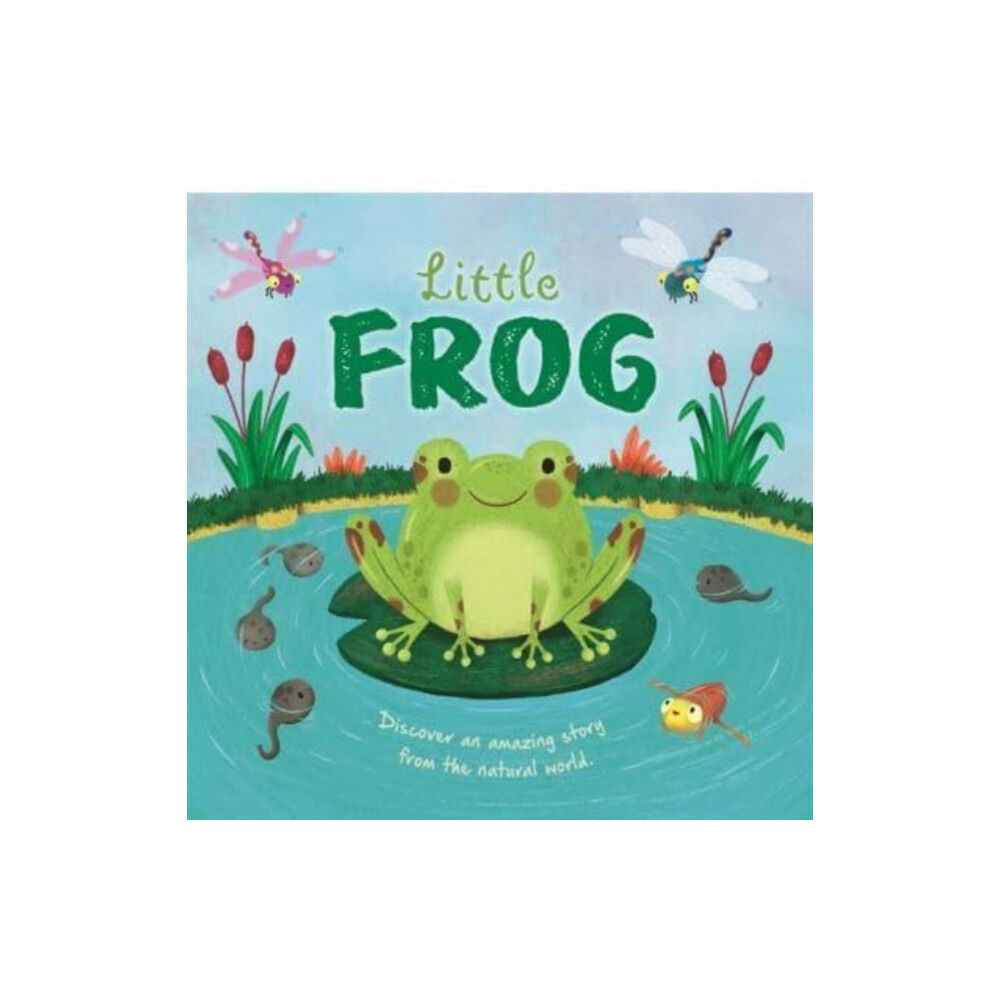 Bonnier Books Ltd Little Frog (inbunden, eng)