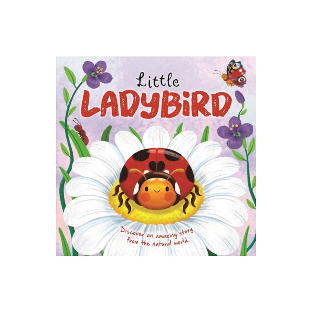 Bonnier Books Ltd Little Ladybird (bok, board book, eng)