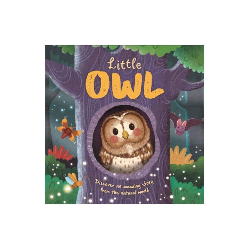 Bonnier Books Ltd Little Owl (bok, board book, eng)