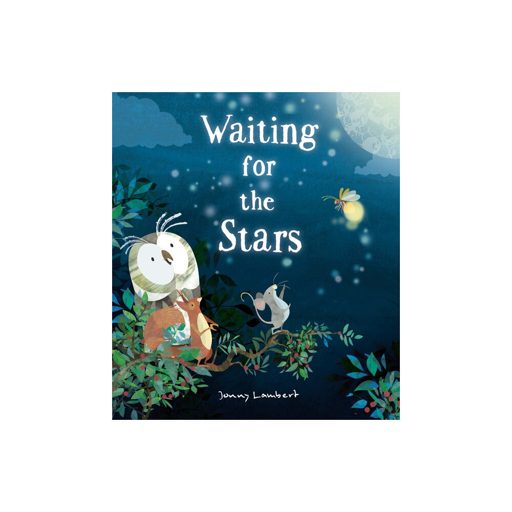 Little Tiger Press Group Waiting for the Stars (inbunden, eng)