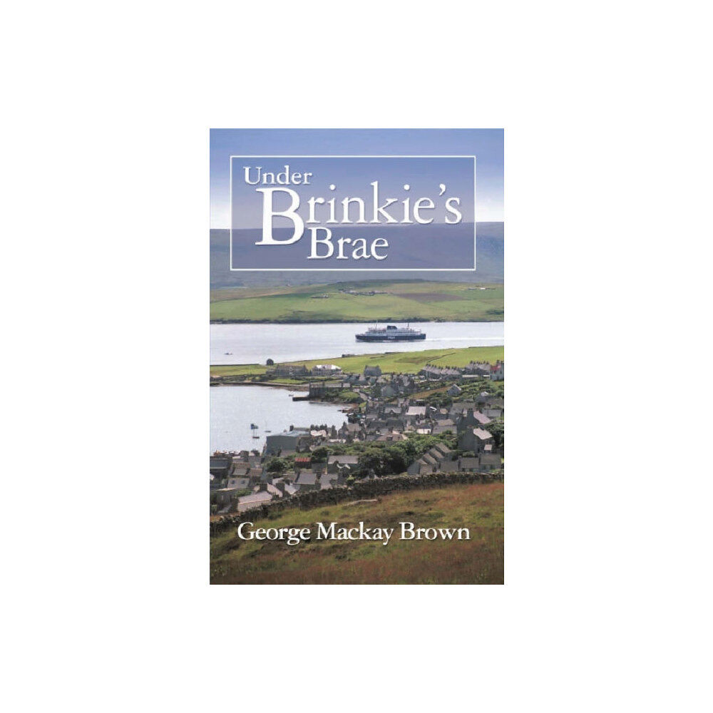 Steve Savage Publishers Limited Under Brinkie's Brae (häftad, eng)