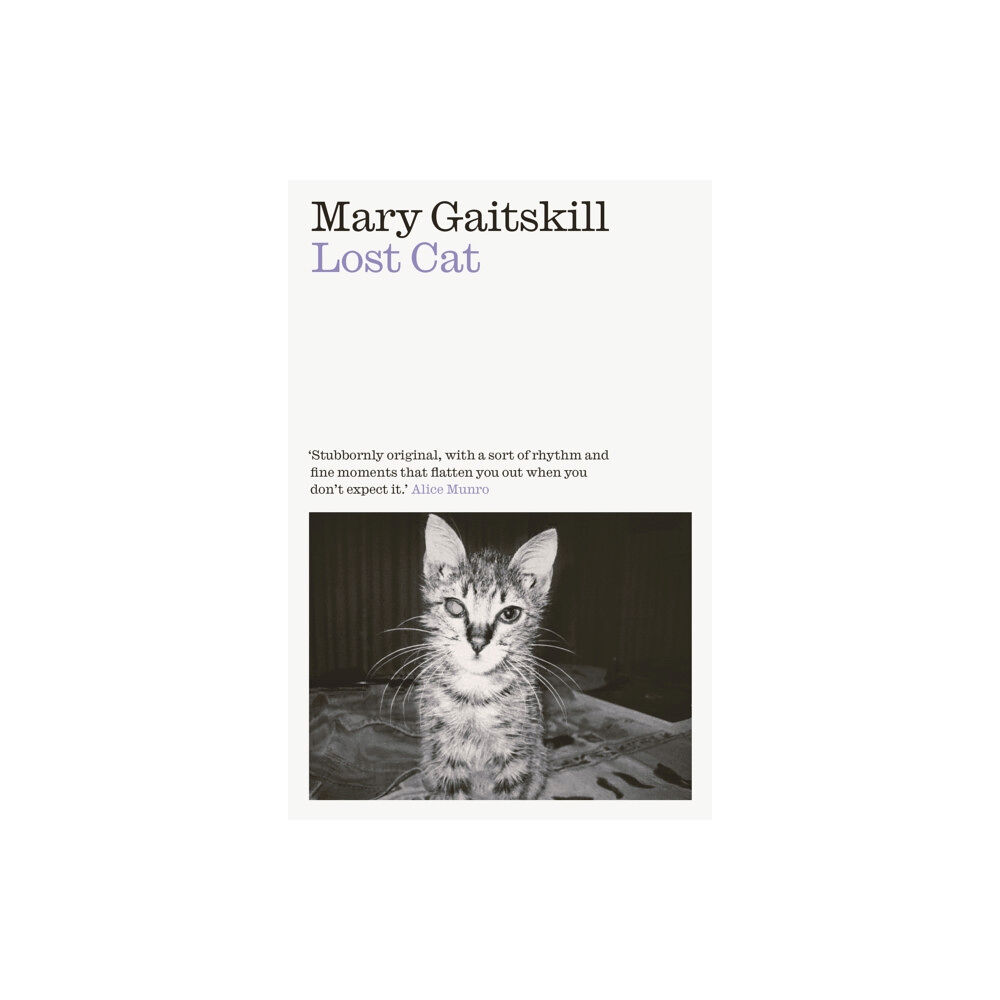 Daunt Books Lost Cat (häftad, eng)