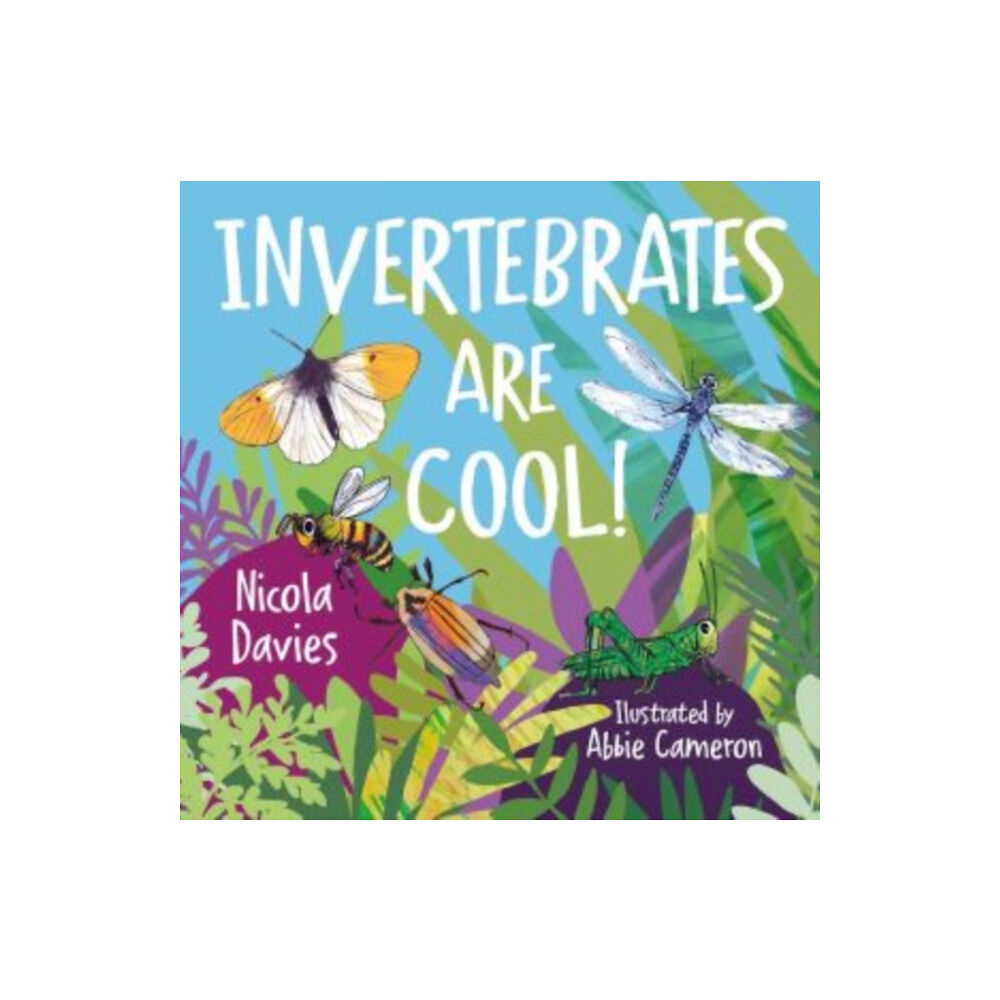 Graffeg Limited Animal Surprises: Invertebrates Are Cool! (häftad, eng)