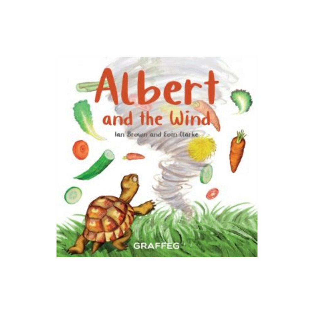 Graffeg Limited Albert and the Wind (häftad, eng)