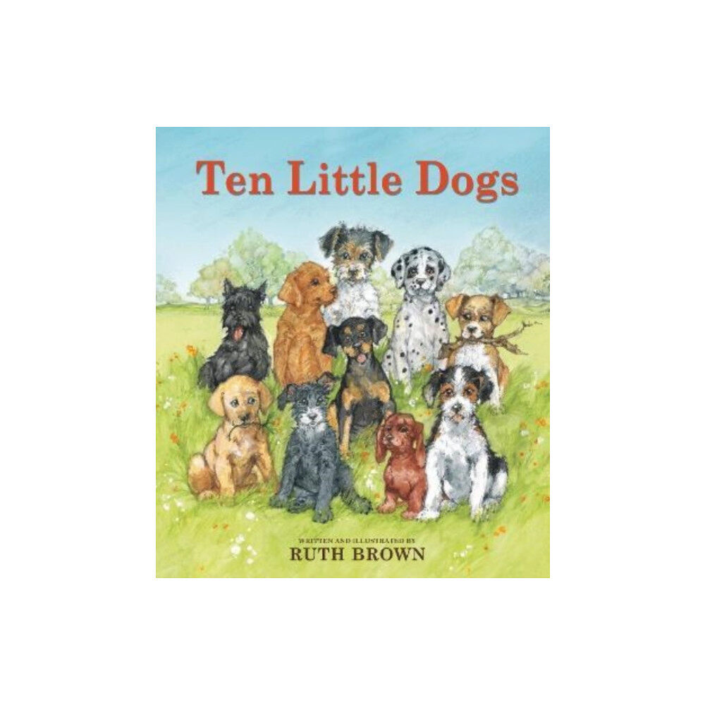 Scallywag Press Ten Little Dogs (bok, board book, eng)