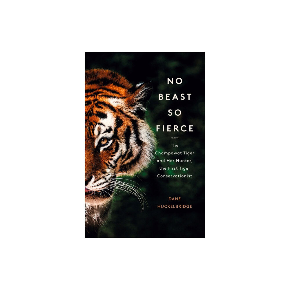 HarperCollins Publishers No Beast So Fierce (häftad, eng)