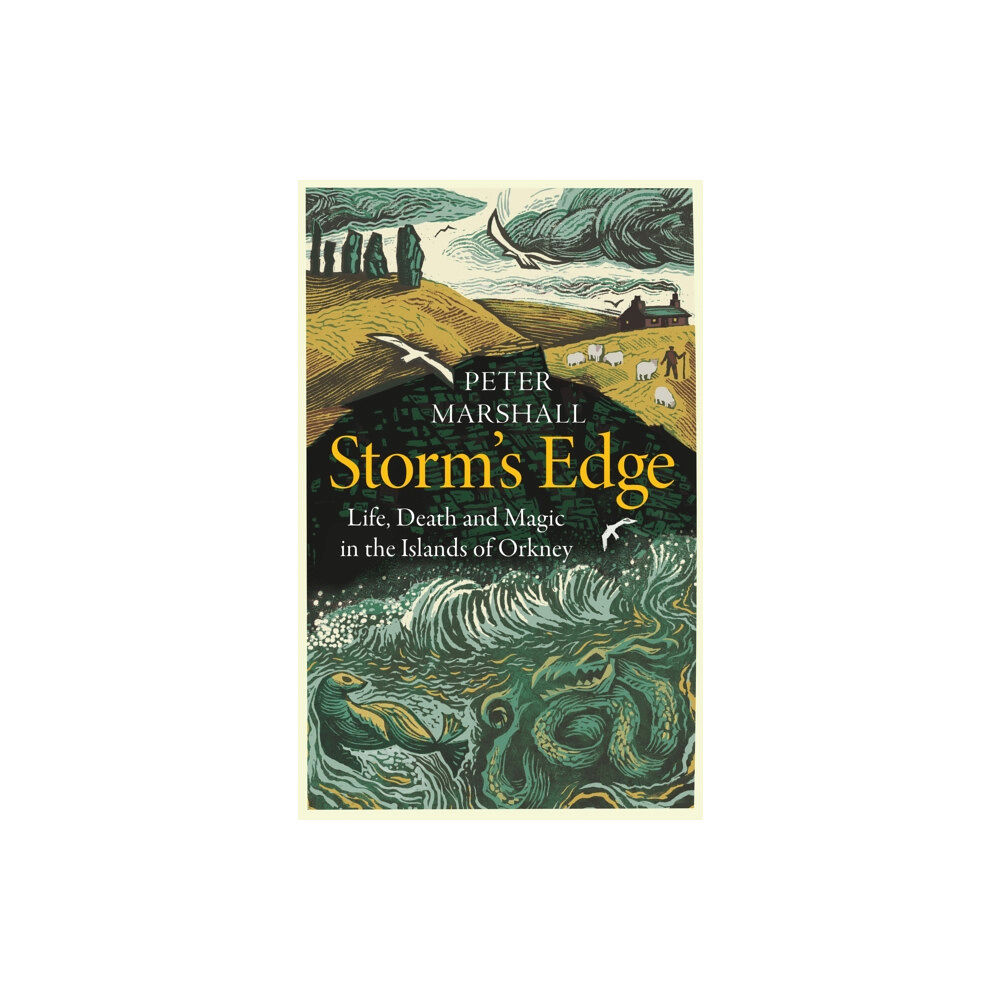 HarperCollins Publishers Storm’s Edge (inbunden, eng)