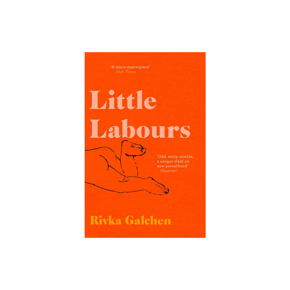 HarperCollins Publishers Little Labours (häftad, eng)