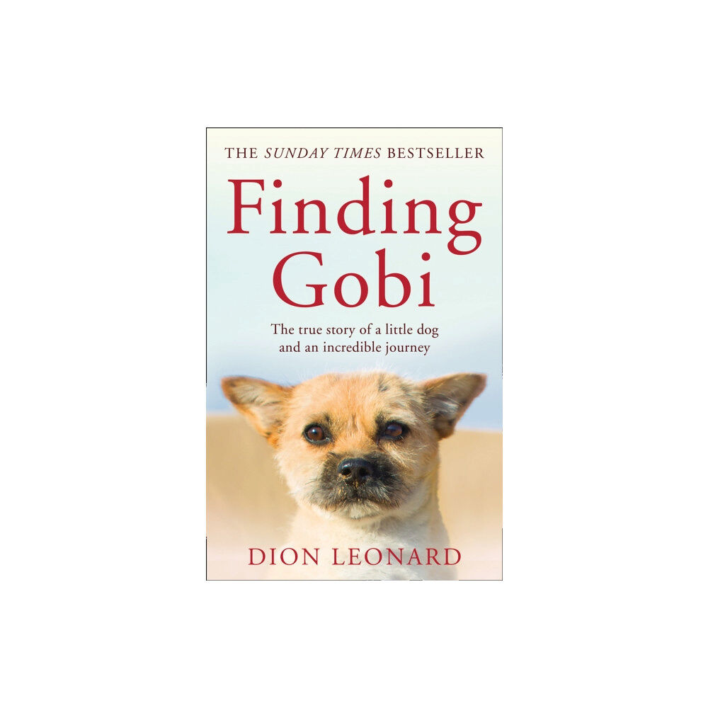 HarperCollins Publishers Finding Gobi (Main edition) (häftad, eng)