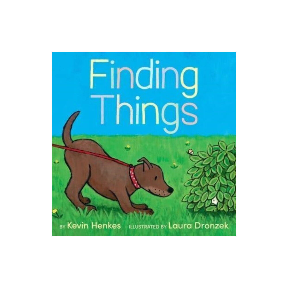 Harpercollins publishers inc Finding Things (inbunden, eng)