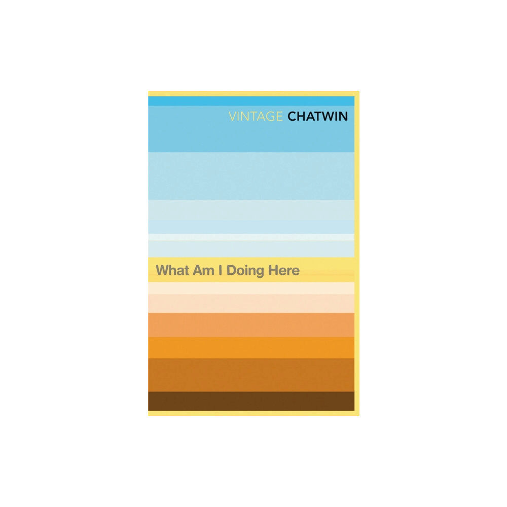 Vintage Publishing What Am I Doing Here? (häftad, eng)