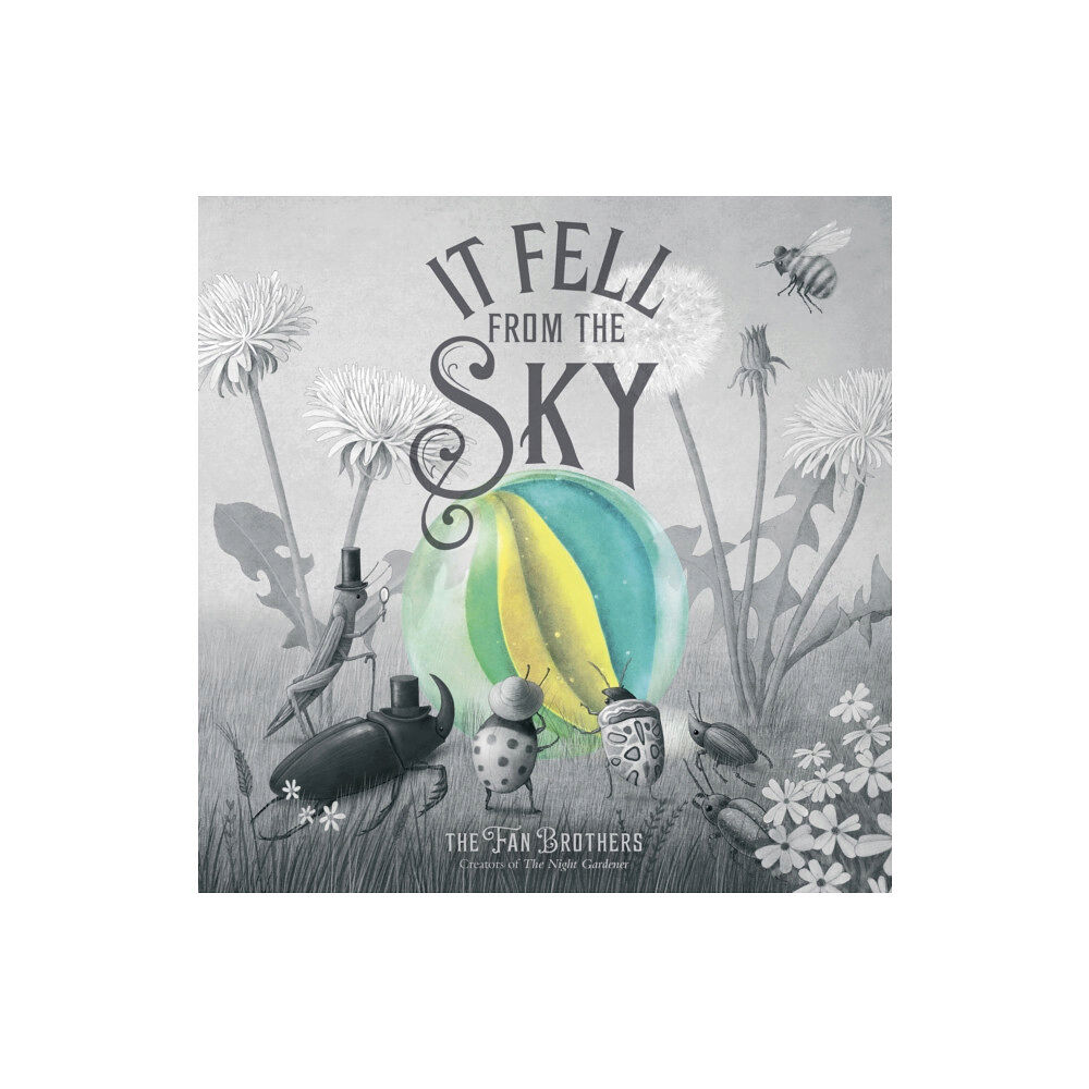 Quarto Publishing Plc It Fell From The Sky (häftad, eng)