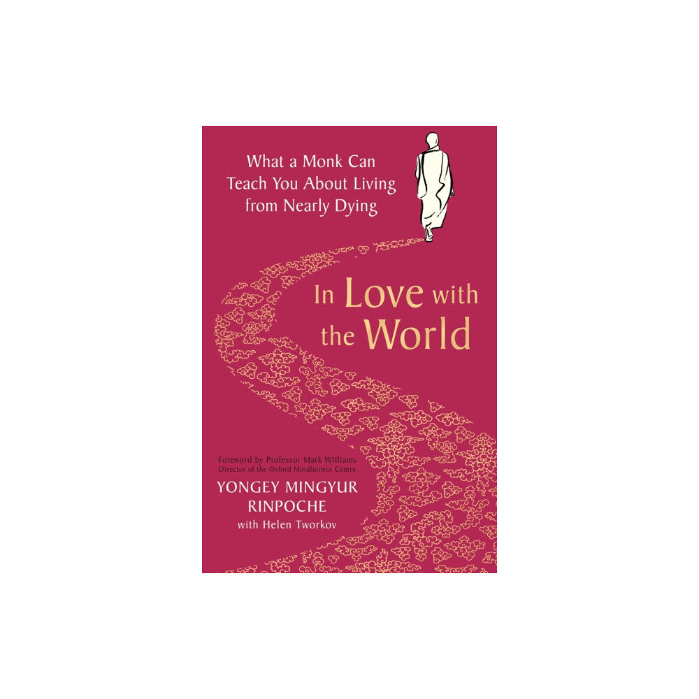 Pan Macmillan In Love with the World (häftad, eng)