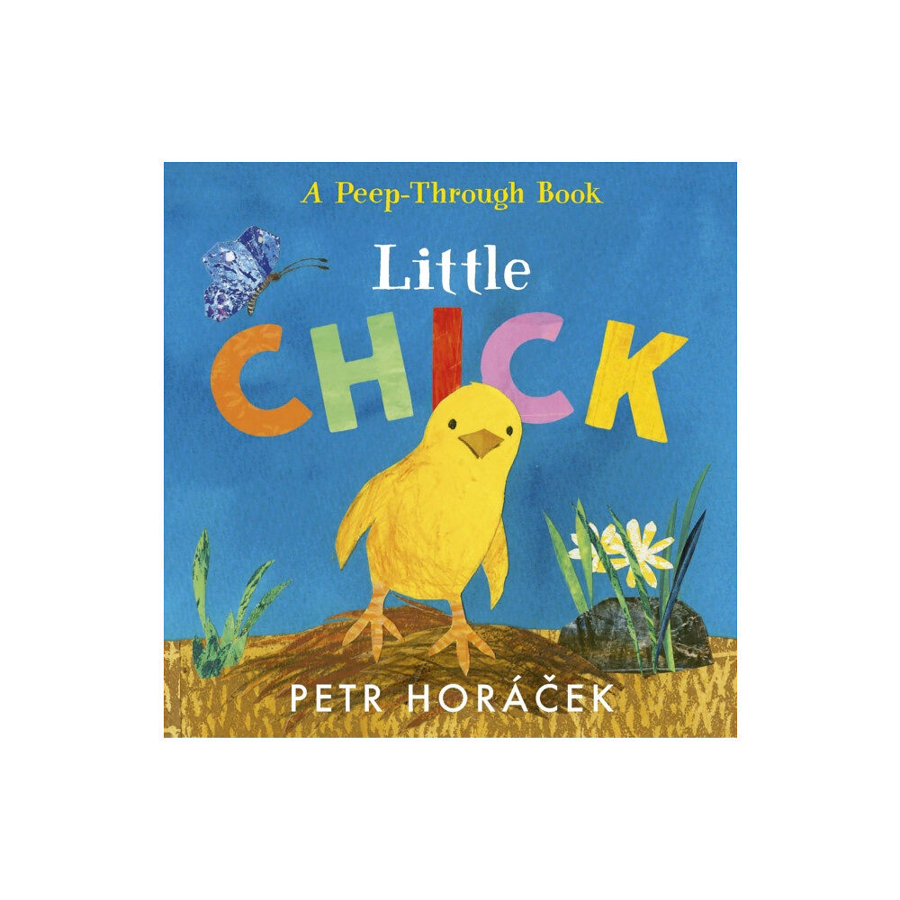 Walker Books Ltd Little Chick (bok, board book, eng)