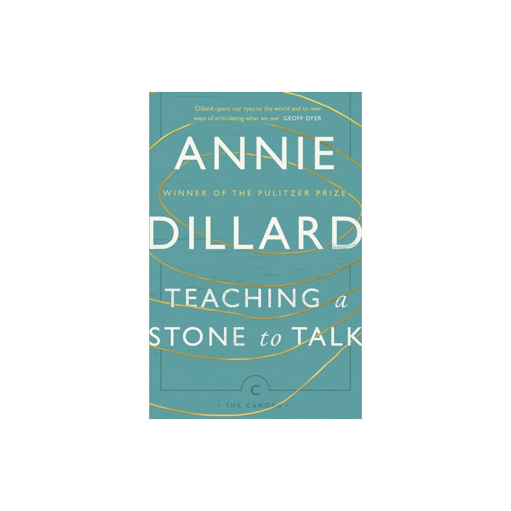 Canongate Books Teaching a Stone to Talk (häftad, eng)