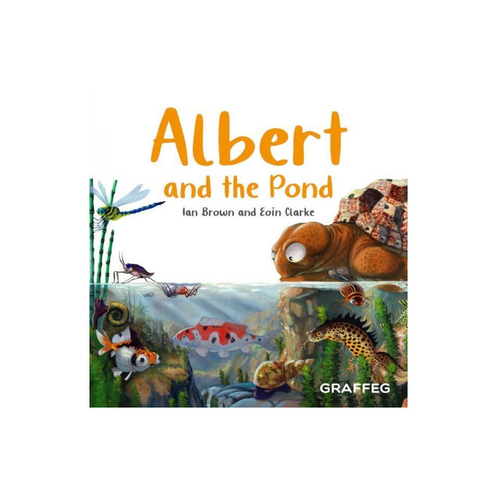 Graffeg Limited Albert and the Pond (häftad, eng)