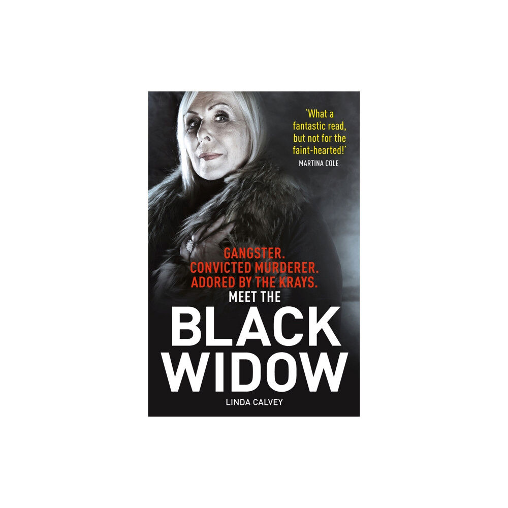 Mirror Books The Black Widow (häftad, eng)