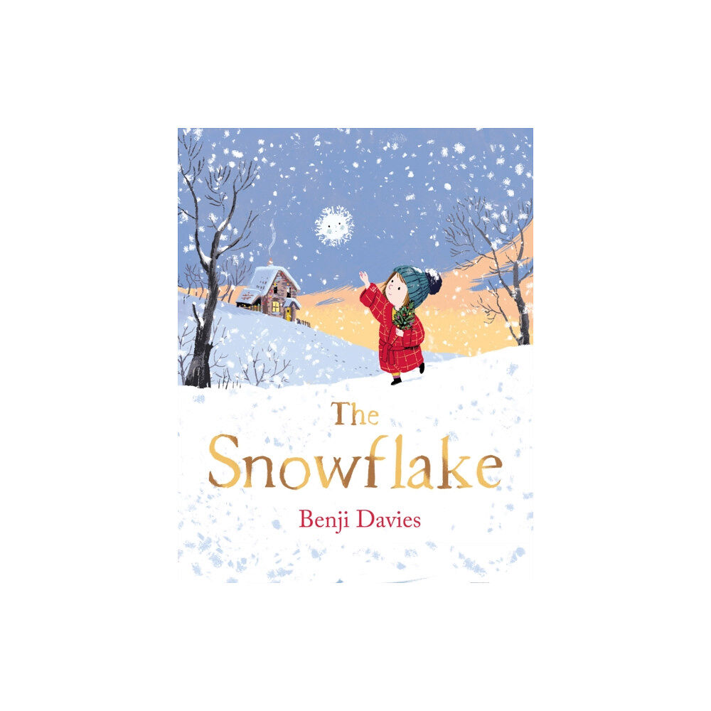 HarperCollins Publishers The Snowflake (häftad, eng)