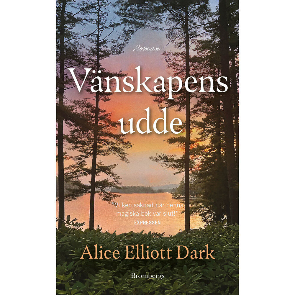 Alice Elliott Dark Vänskapens udde (pocket)