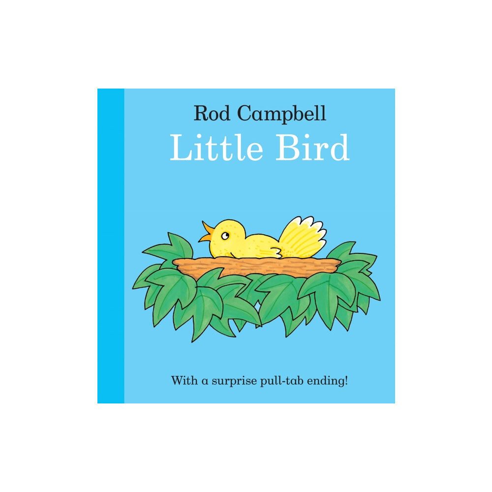 Pan Macmillan Little Bird (bok, board book, eng)