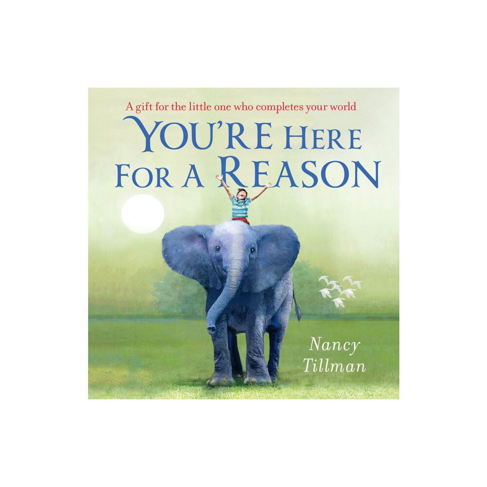 Pan Macmillan You're Here for a Reason (bok, board book, eng)
