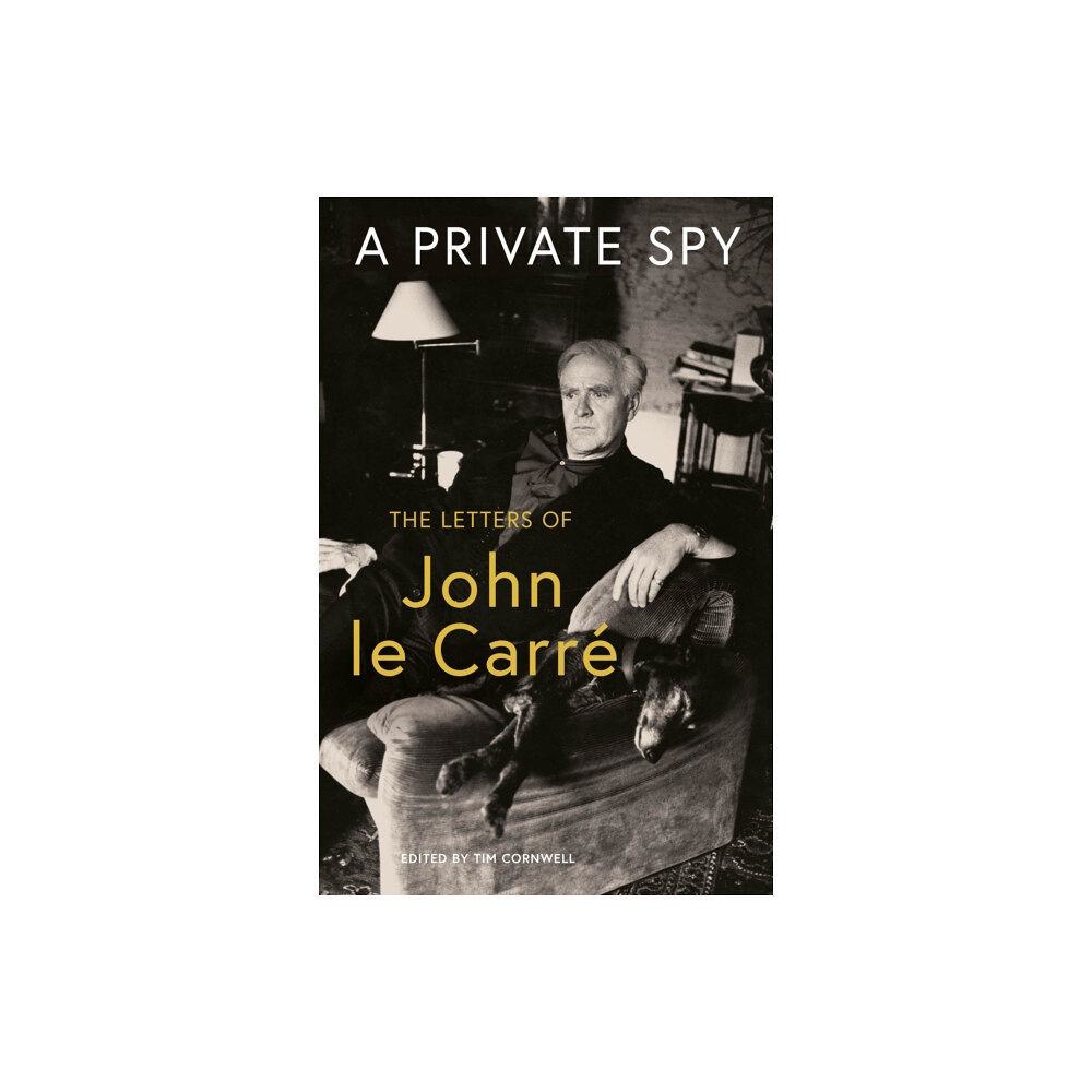 Penguin books ltd A Private Spy (häftad, eng)