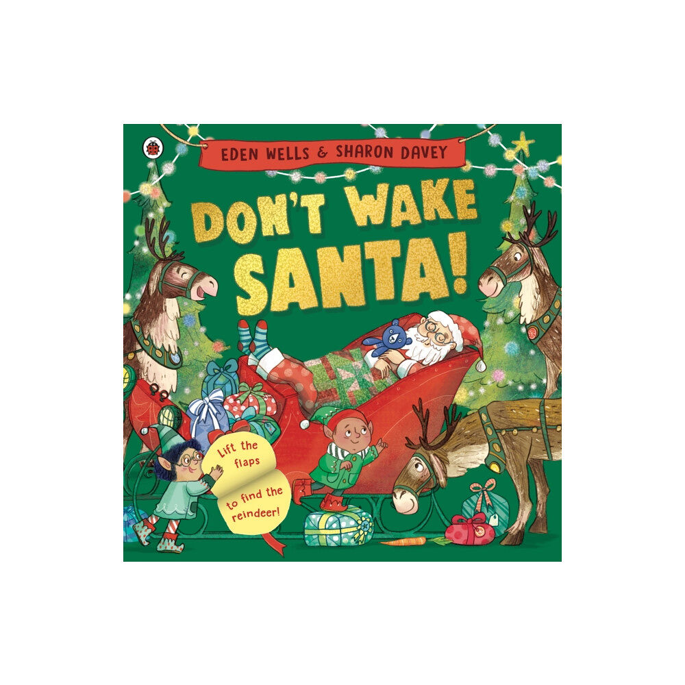 Penguin Random House Children's UK Don't Wake Santa (häftad, eng)