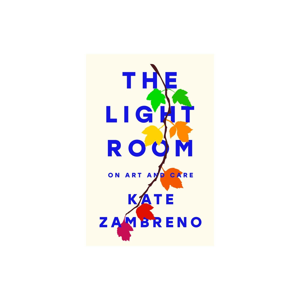 Penguin Putnam Inc The Light Room (inbunden, eng)