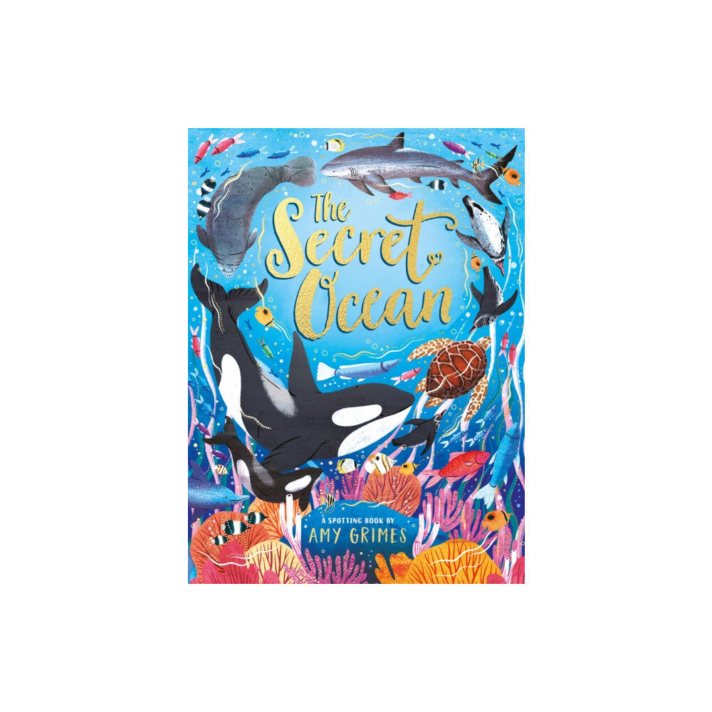 Scholastic The Secret Ocean (inbunden, eng)