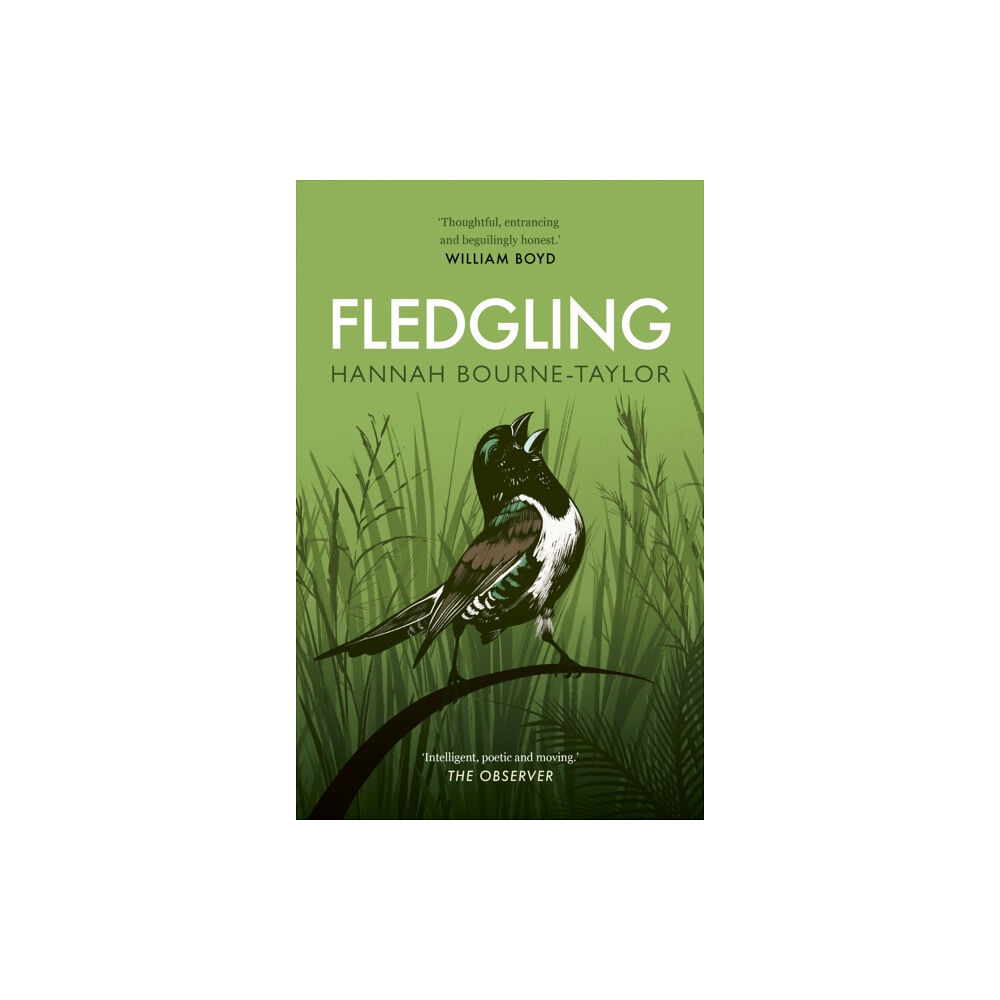 Quarto Publishing Plc Fledgling (häftad, eng)