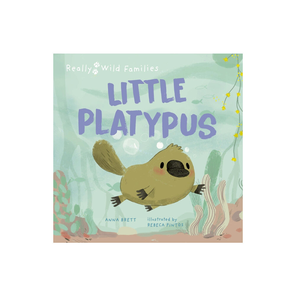 Quarto Publishing Plc Little Platypus (inbunden, eng)