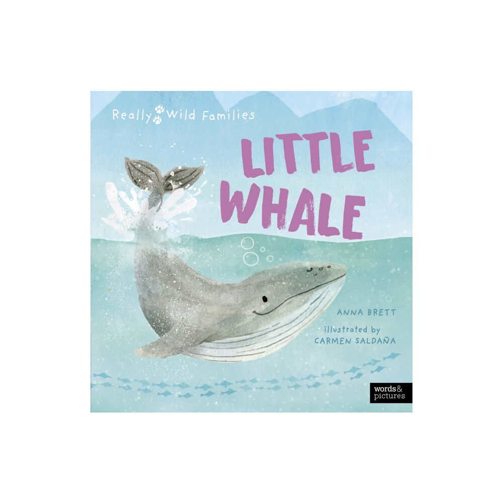 Quarto Publishing Plc Little Whale (inbunden, eng)