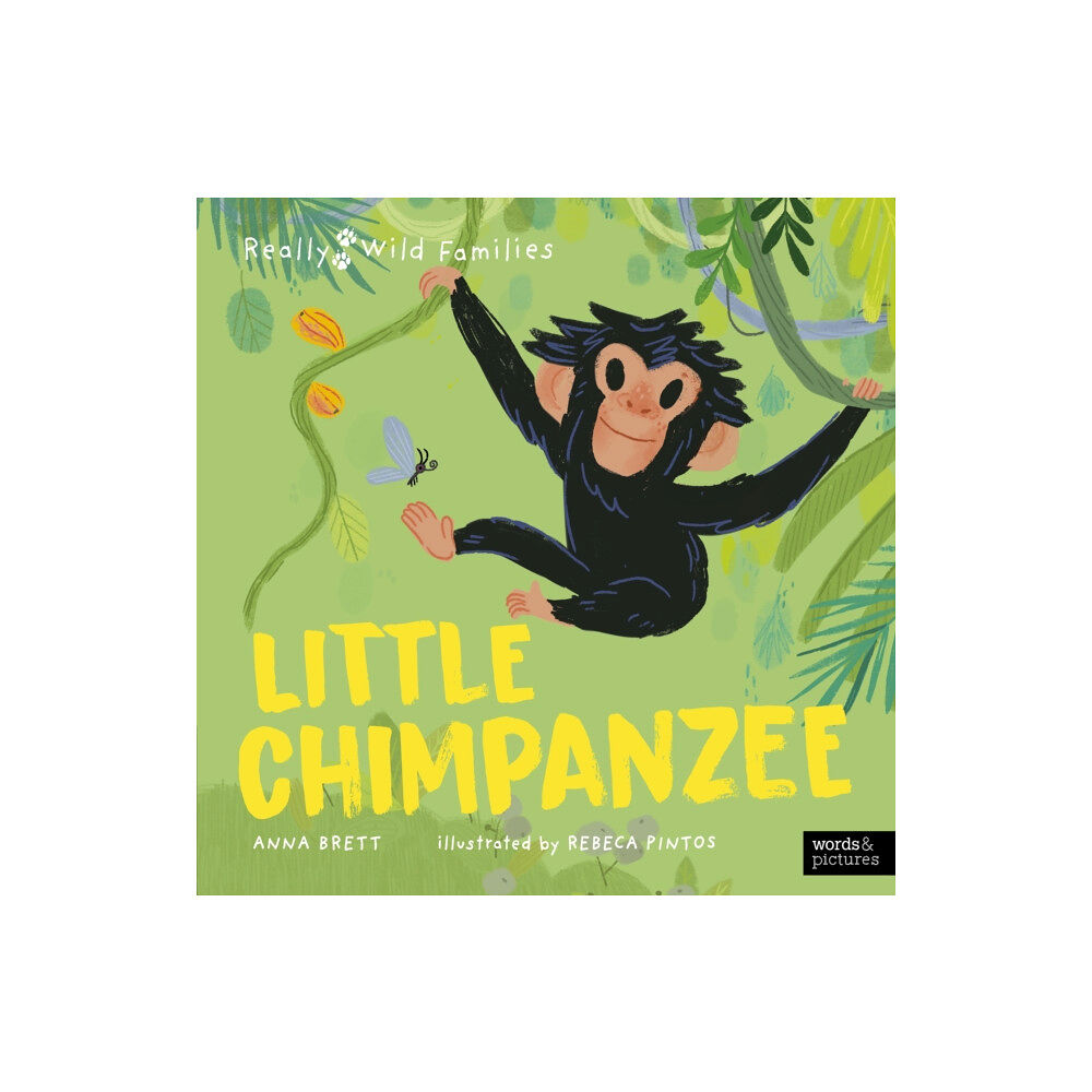 Quarto Publishing Plc Little Chimpanzee (inbunden, eng)