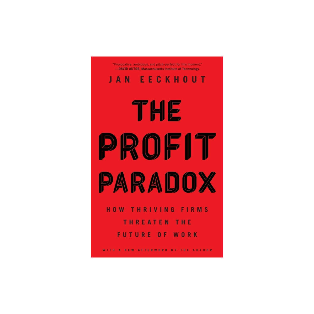 Princeton University Press The Profit Paradox (häftad, eng)