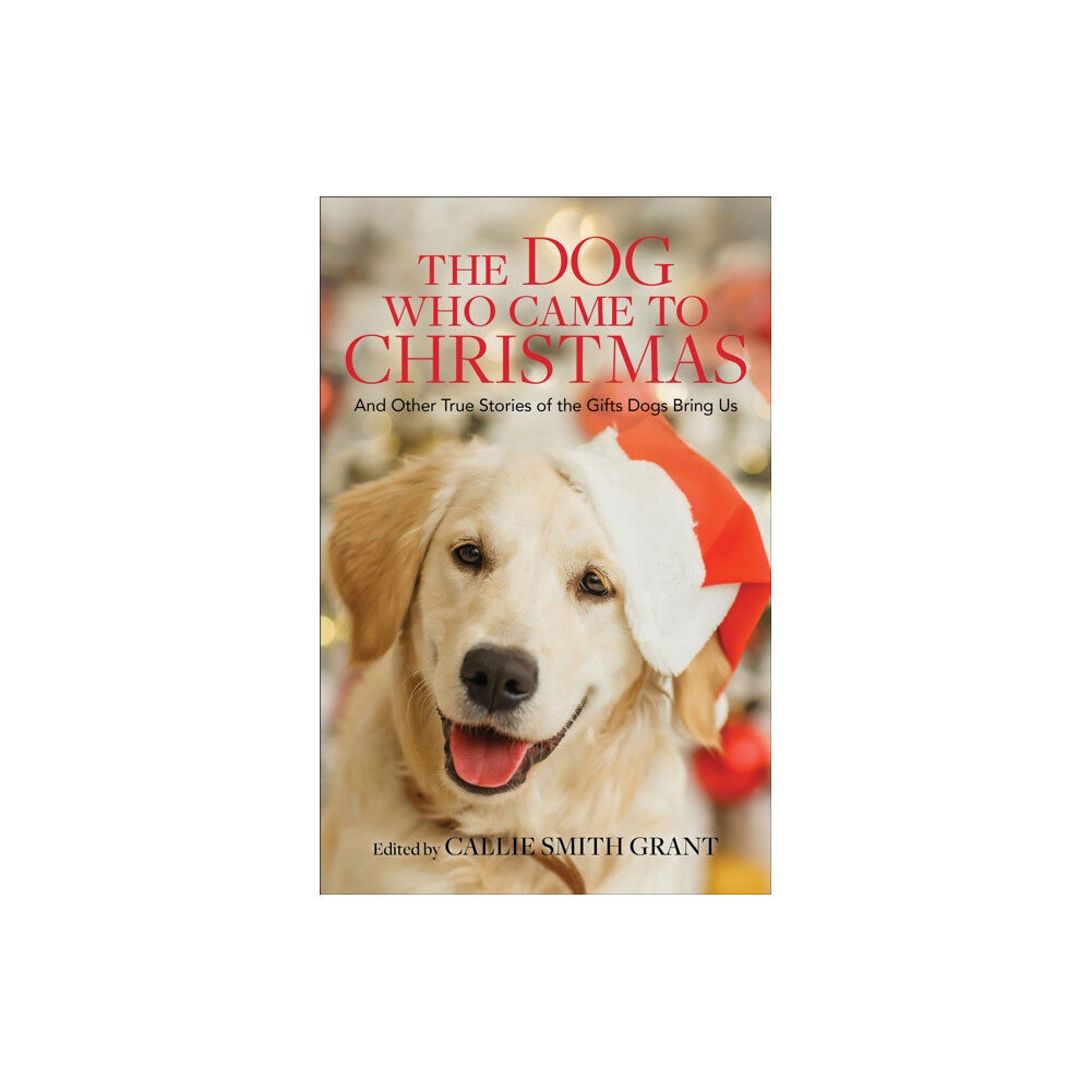 Baker publishing group The Dog Who Came to Christmas – And Other True Stories of the Gifts Dogs Bring Us (häftad, eng)