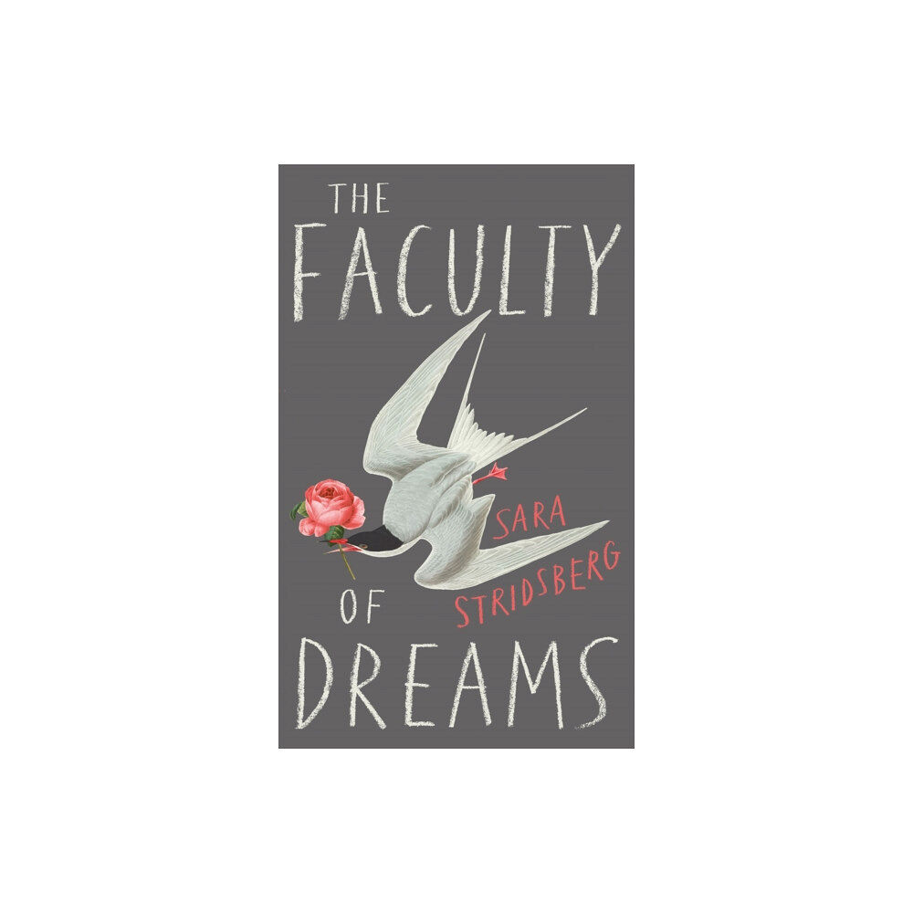 Quercus Publishing The Faculty of Dreams (häftad, eng)