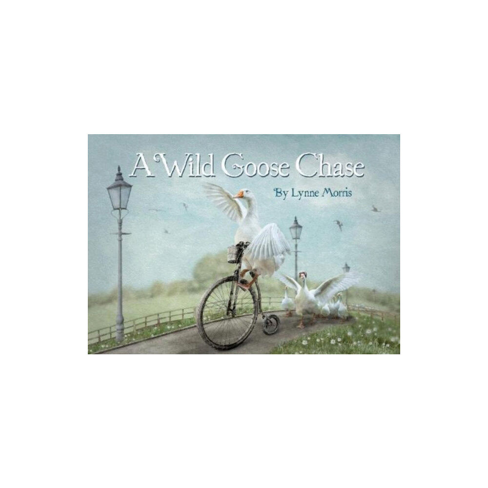 Redstart Publishing A Wild Goose Chase (häftad, eng)