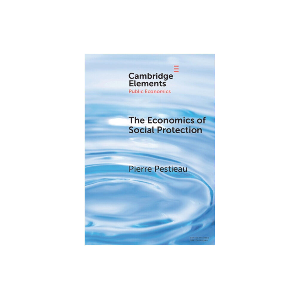 Cambridge University Press The Economics of Social Protection (inbunden, eng)