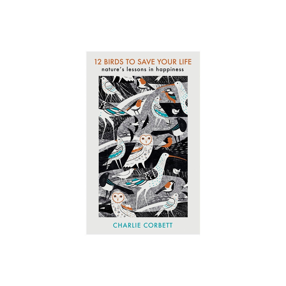 Penguin books ltd 12 Birds to Save Your Life (häftad, eng)