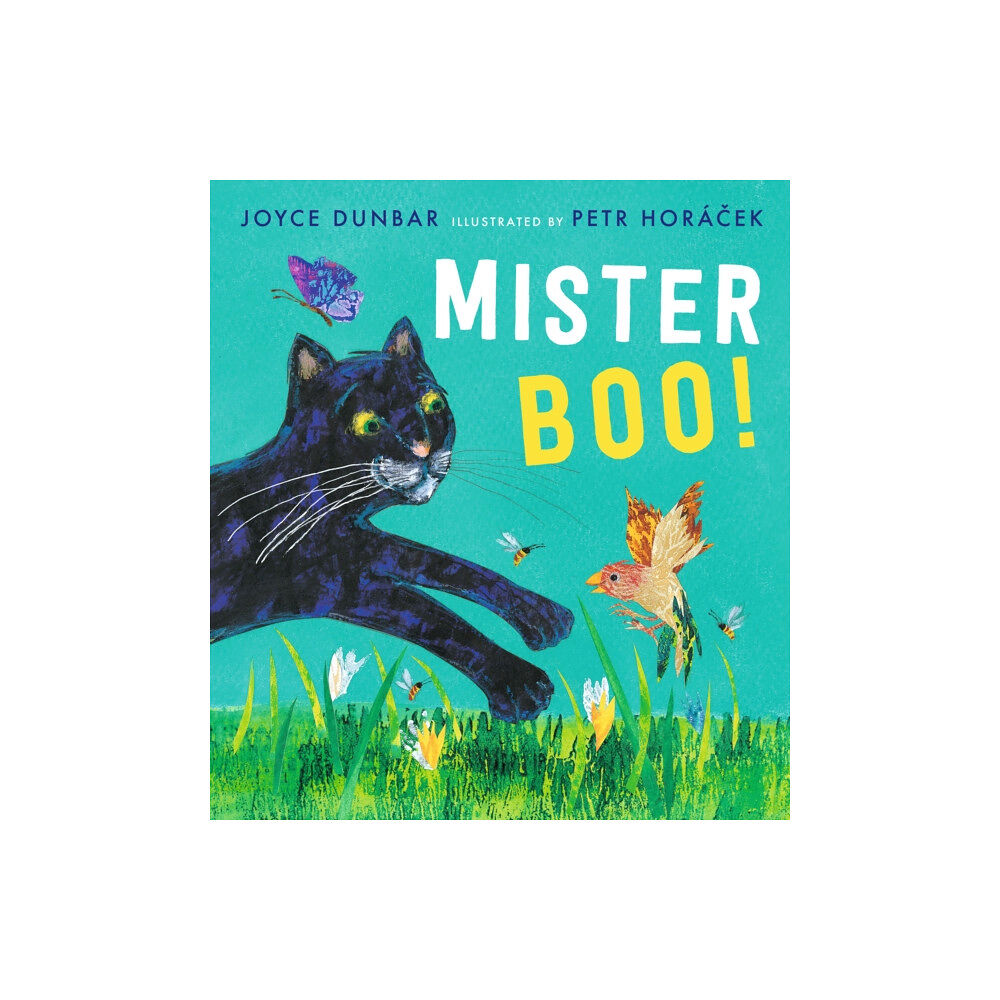 Walker Books Ltd Mister Boo! (inbunden, eng)