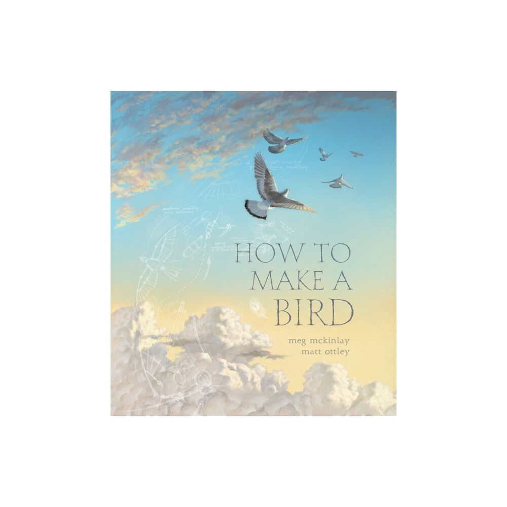 Walker Books Ltd How to Make a Bird (inbunden, eng)